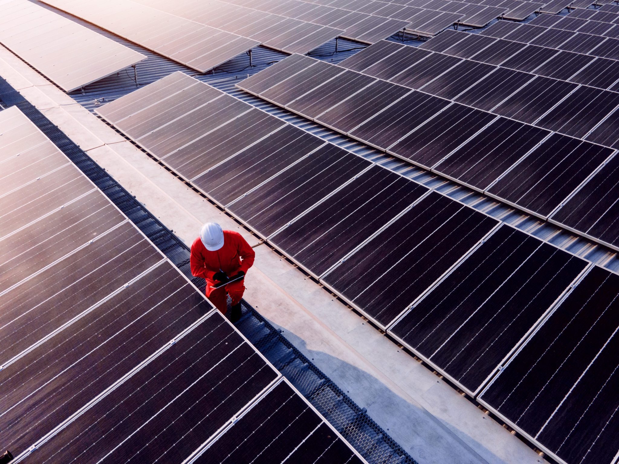 Lenovo és Schneider Electric: dekarbonizációs program IT-partnereknek